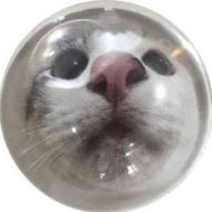 Meet your Posher, Bebe